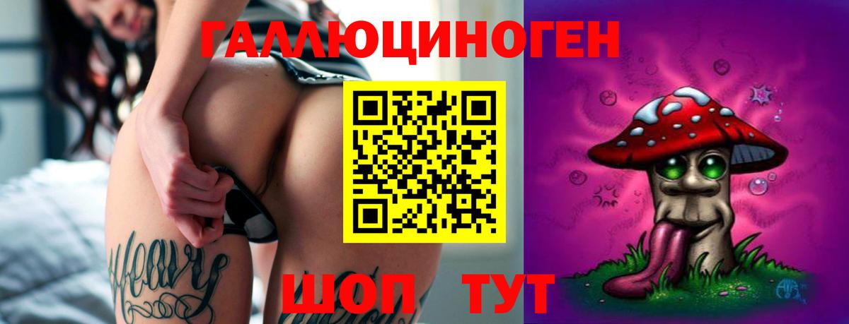 Петрозаводск  где продают наркотики  Вход с VPN  Галлюциногенные грибы мухоморы  Галлюциногенные грибы Psilocybe 